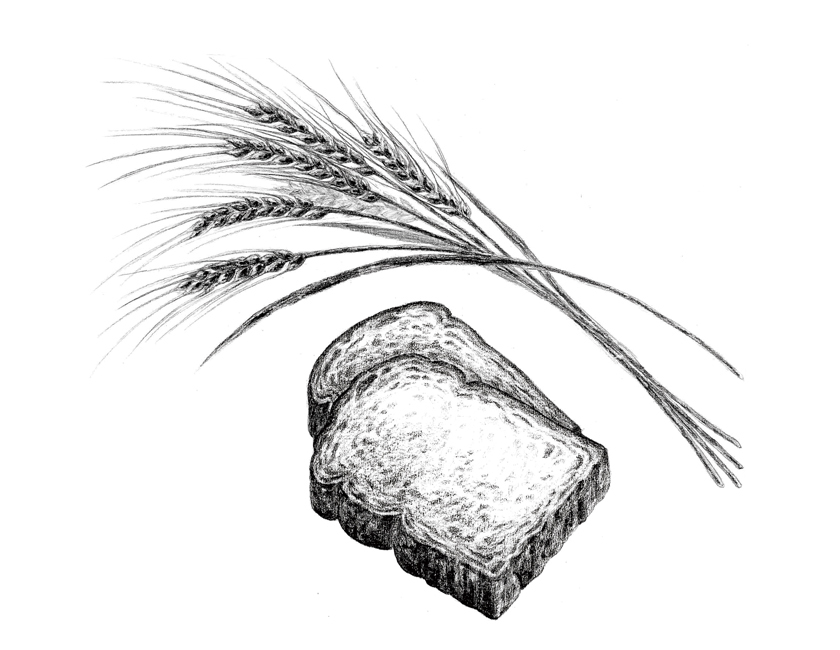 20151130023010.jpg